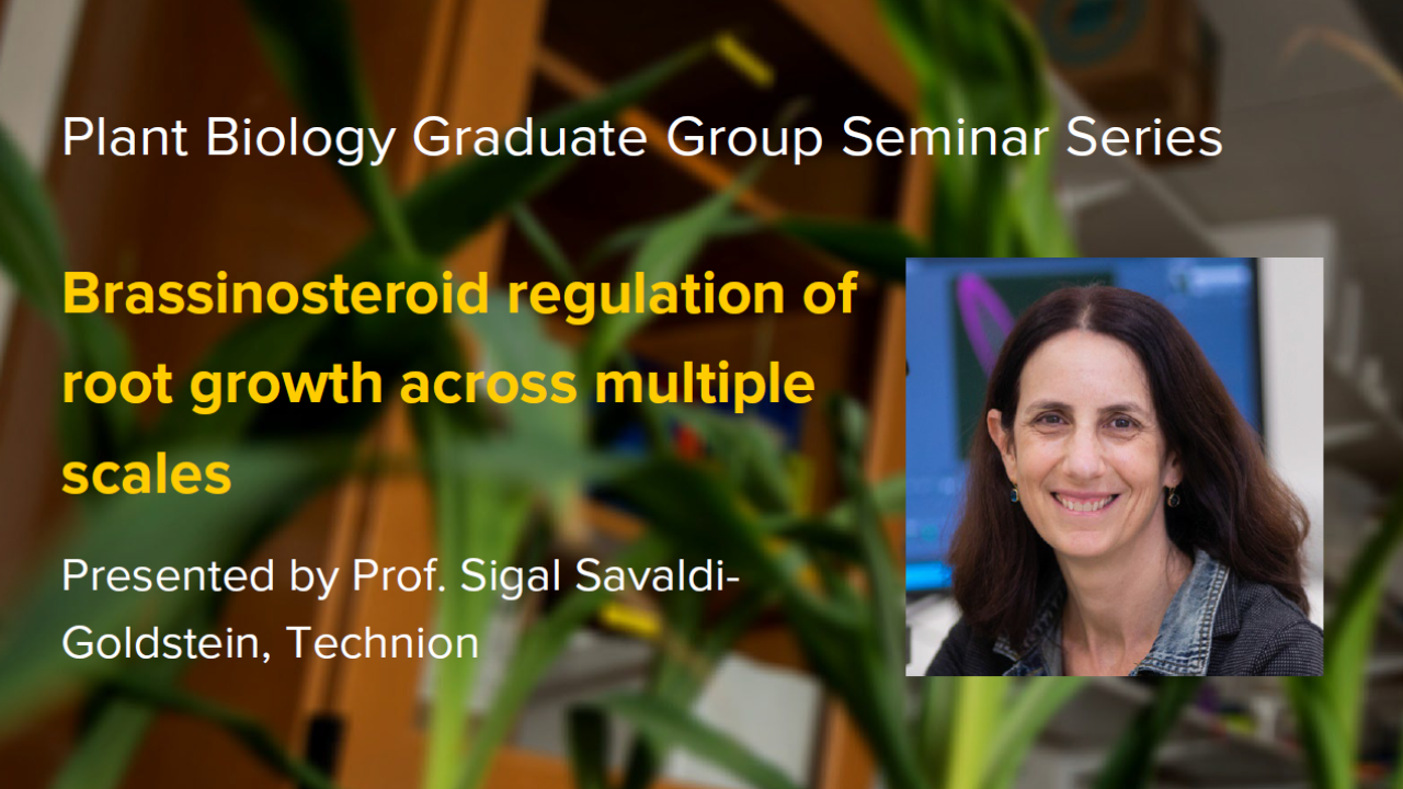 Plant graphic with seminar title and image of the presenter