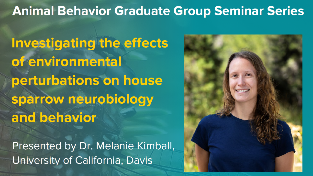 blue graphic with seminar title, speaker name and title, and speaker photo