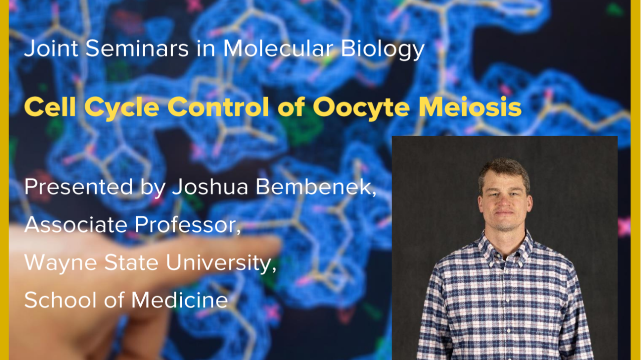 Blue graphic with seminar title and image of the presenter
