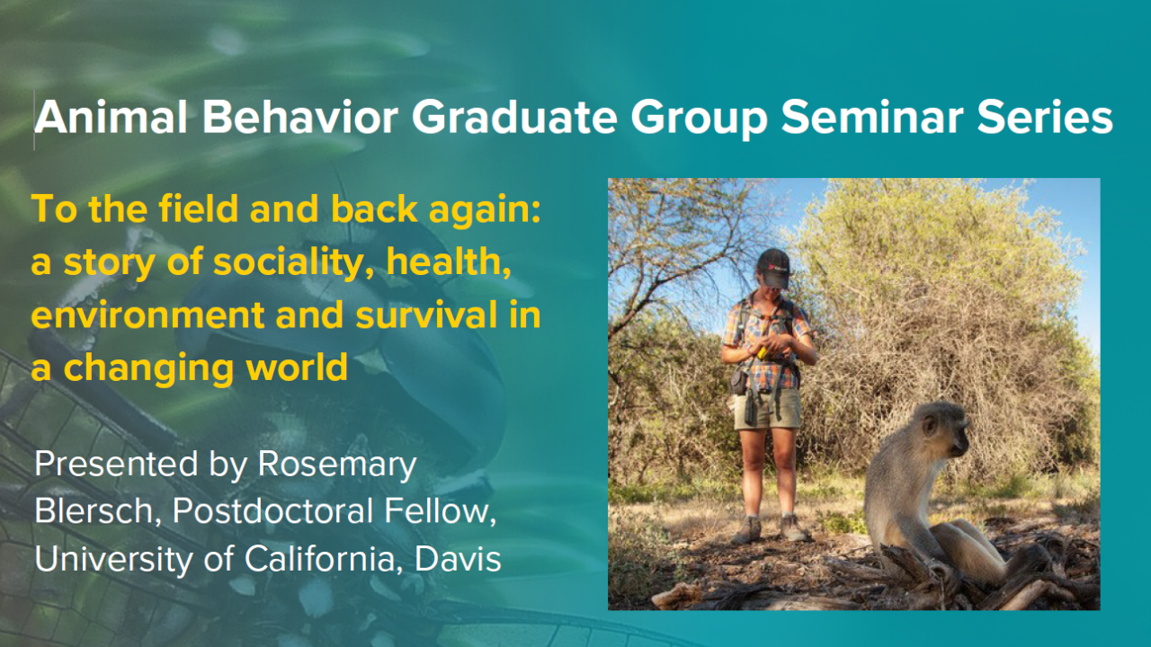 blue graphic with seminar title, speaker name and title, and speaker photo