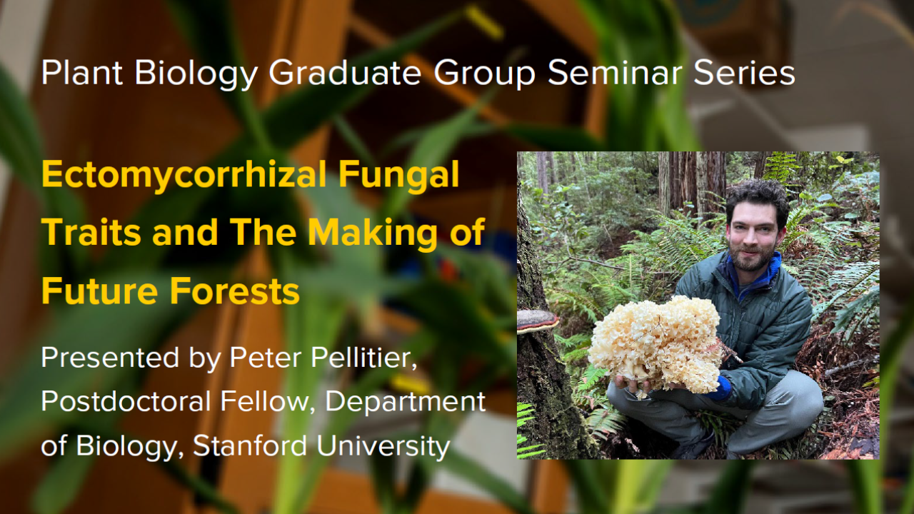 Plant graphic with seminar title, speaker name and title, and speaker photo