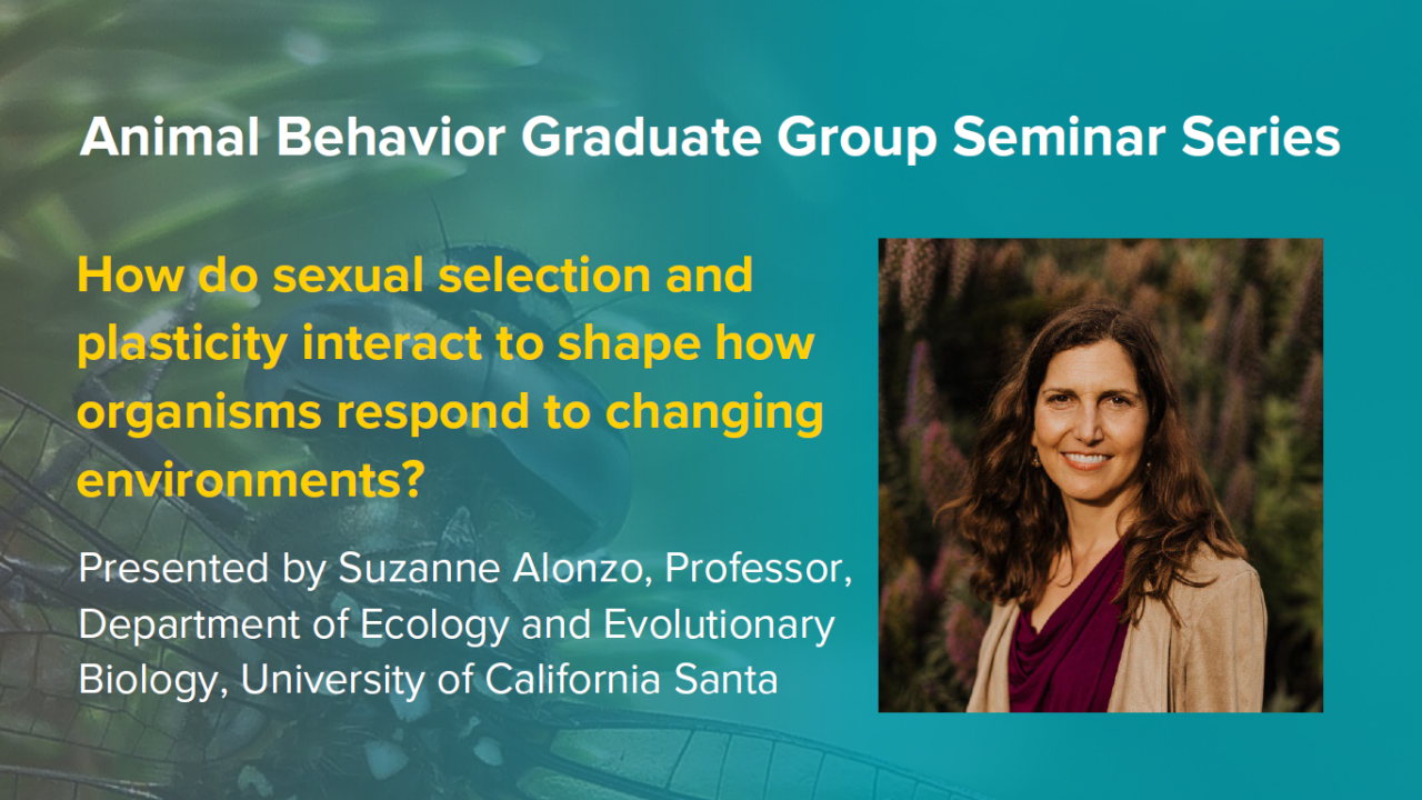 blue graphic with seminar title, speaker name and title, and speaker photo