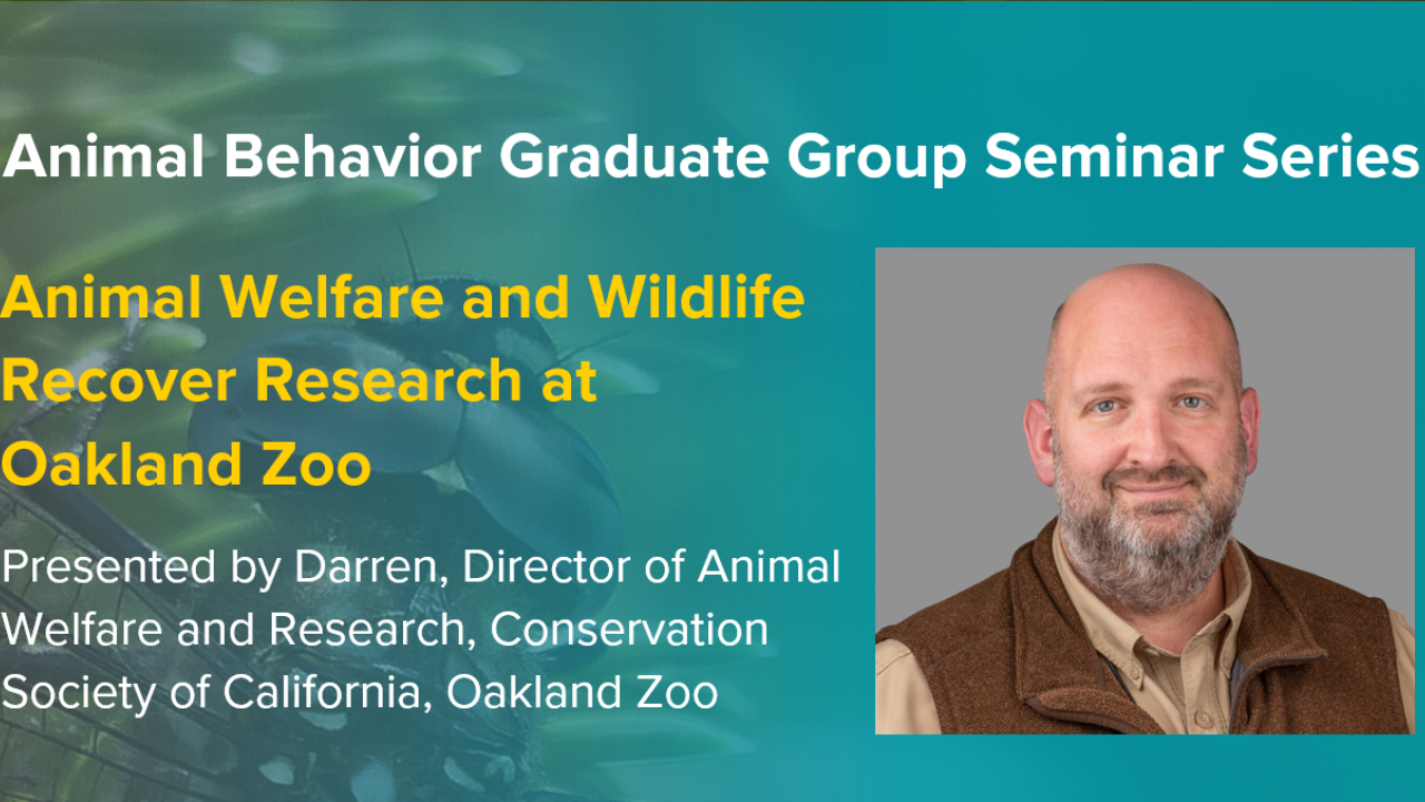Blue graphic with seminar title, speaker name and title, and speaker photo