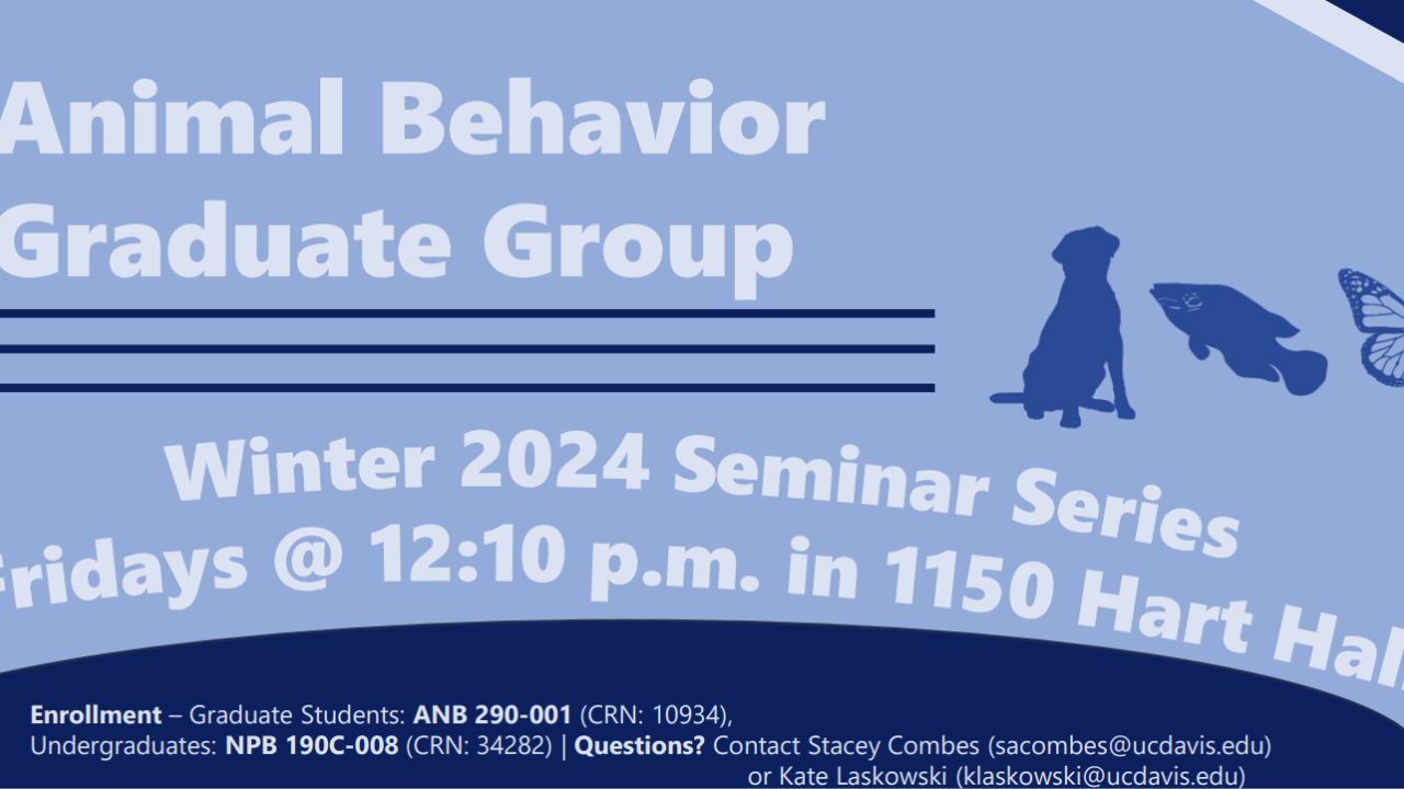 blue graphic with seminar title and information