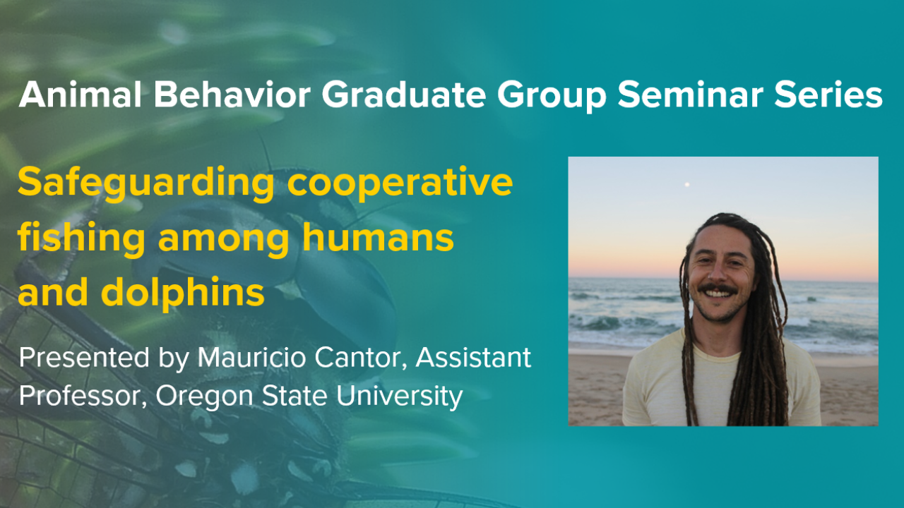 Blue graphic with seminar title, speaker name and title, and speaker photo