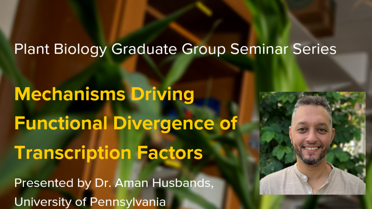 Plant graphic with seminar title and image of the presenter