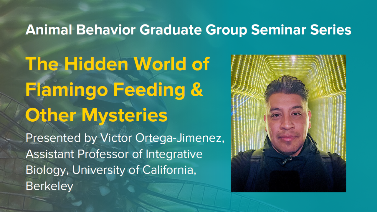 Blue graphic with seminar title, speaker name and title, and speaker photo
