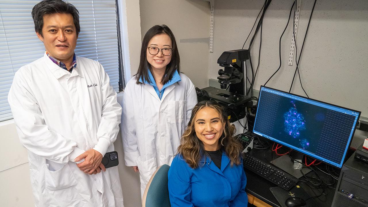 Researchers in the Department of Microbiology and Molecular Genetics have identified a little-known protein that may play a central role in the development of sperm. Satoshi Namekawa (left) project scientist Mengwen Hu (middle) and Jasmine Esparza (right) collaborated on the paper, published in Genes and Development. (Sasha Bakhter / UC Davis)