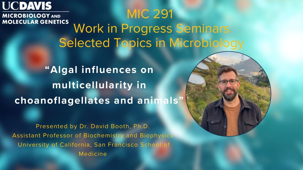 MIC 291 Seminar: Dr. David Booth presents: "Algal influences on multicellularity in choanoflagellates and animals" Flyer