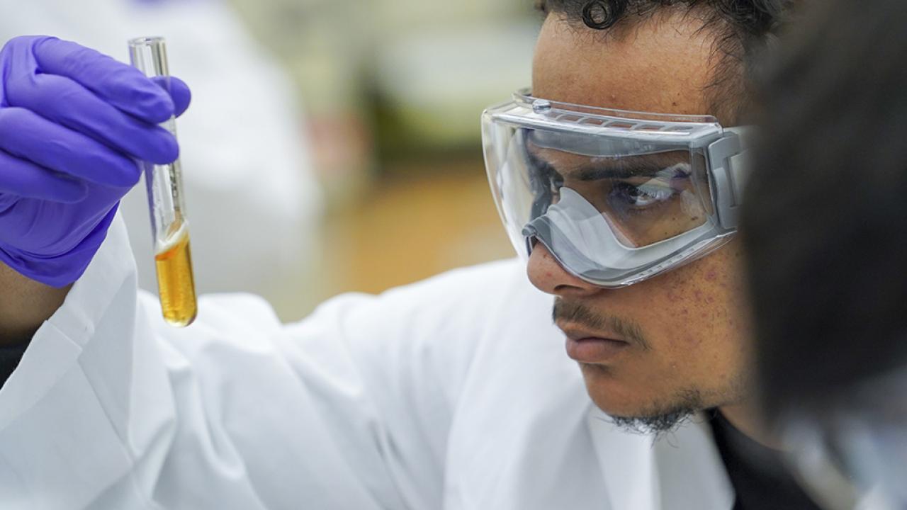 Person looking at test tube in lab