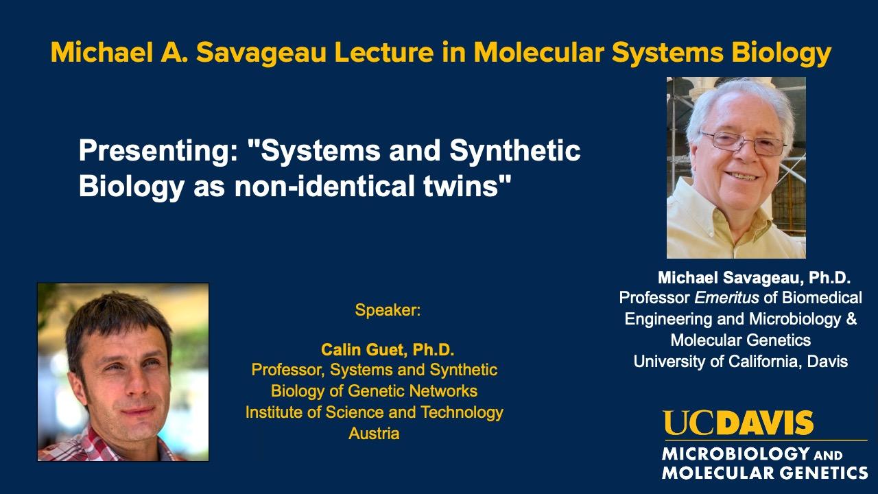 Event flyer for the Michael A. Savageau Lecture in Molecular Systems Biology featuring Calin Guet and honoring Michael Savageau.