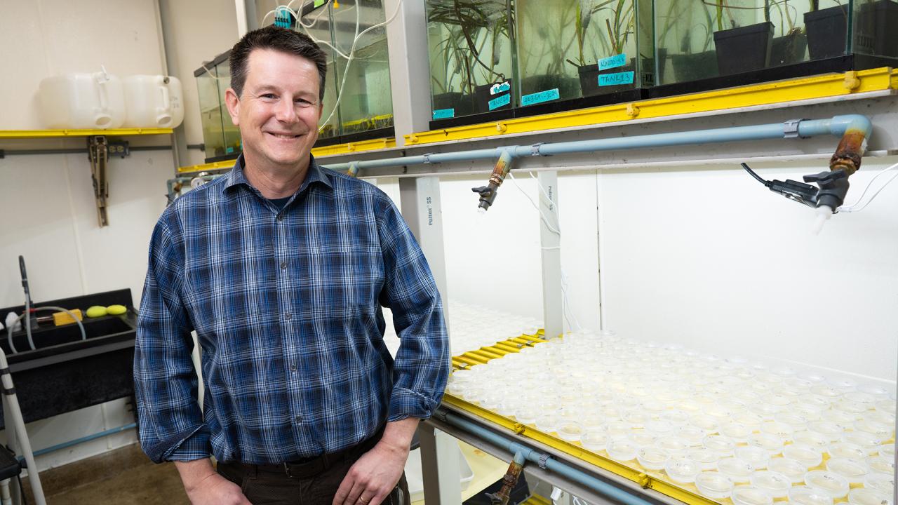 Jay Stachowicz, a professor of evolution and ecology who studies the biodiversity and resilience of coastal ecosystems, has been named the 37th recipient of the UC Davis Prize for Undergraduate Teaching and Scholarly Achievement. The prize, which recognizes exceptional teaching and scholarship, is among the largest of its kind in the country. (TJ Ushing / UC Davis)