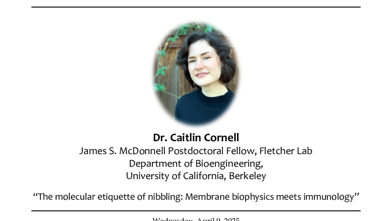 MIC 291 Seminar: Dr. Caitlin Cornell presents: "The molecular etiquette of nibbling: Membrane biophysics meets immunology" Flyer