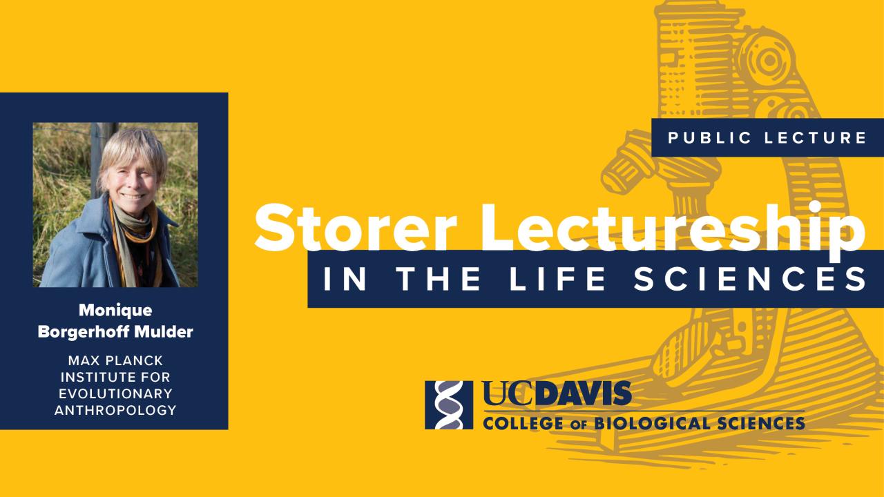 A promotional graphic for the ‘Storer Lectureship in the Life Sciences,’ featuring Monique Borgerhoff Mulder from the Max Planck Institute for Evolutionary Anthropology. The UC Davis College of Biological Sciences logo is at the bottom right.
