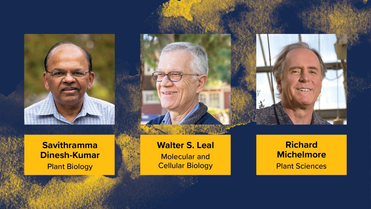 Blue and gold graphic with new NAS members