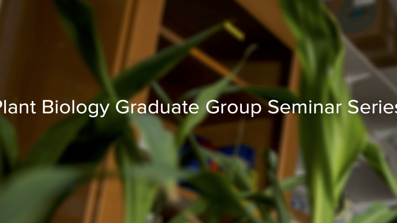 Green brown graphic with yellow text for seminar
