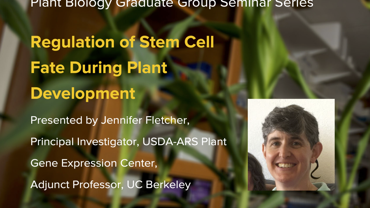 Green brown graphic with yellow and white text for seminar