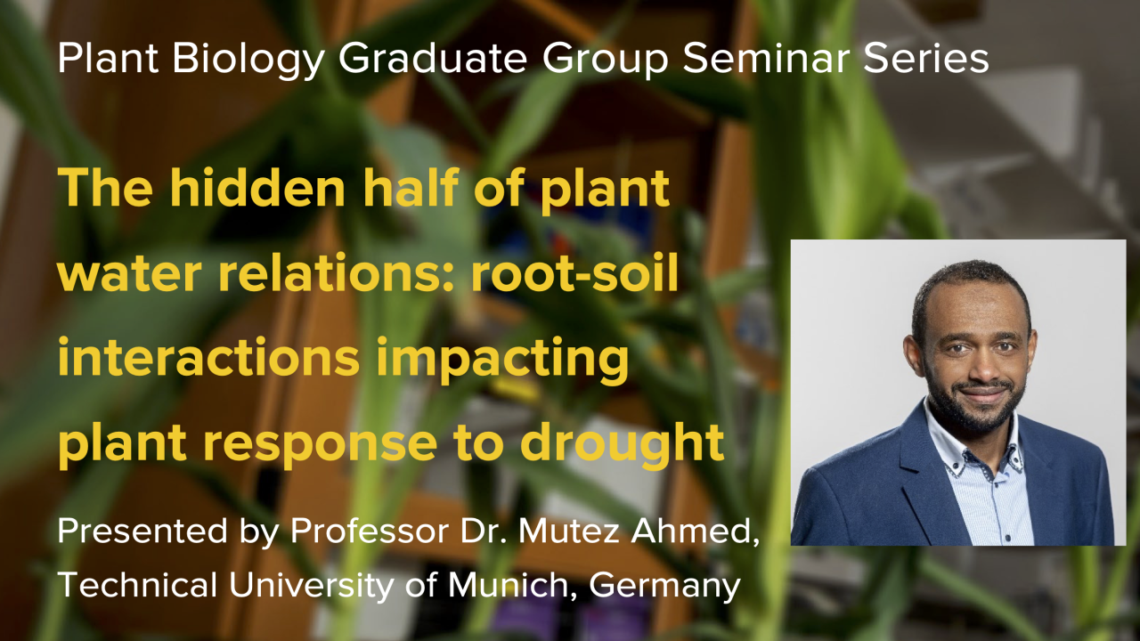 Green brown graphic with yellow and white text for seminar