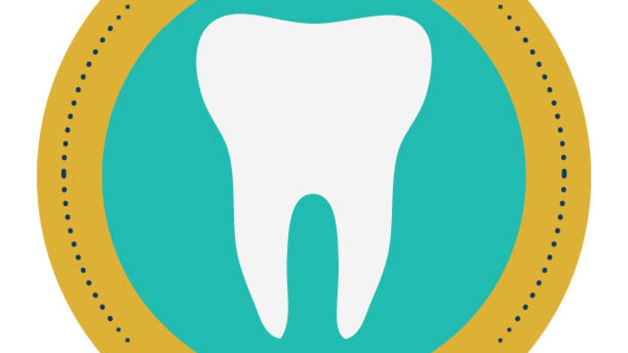 Pre-Dental Bootcamp