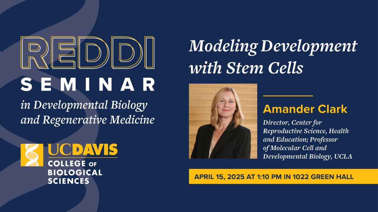 REDDI Seminar graphic for UC Davis College of Biological Sciences featuring Amander Clark from UCLA. Seminar on April 15, 2024, at 1:10 PM in 1022 Green Hall.