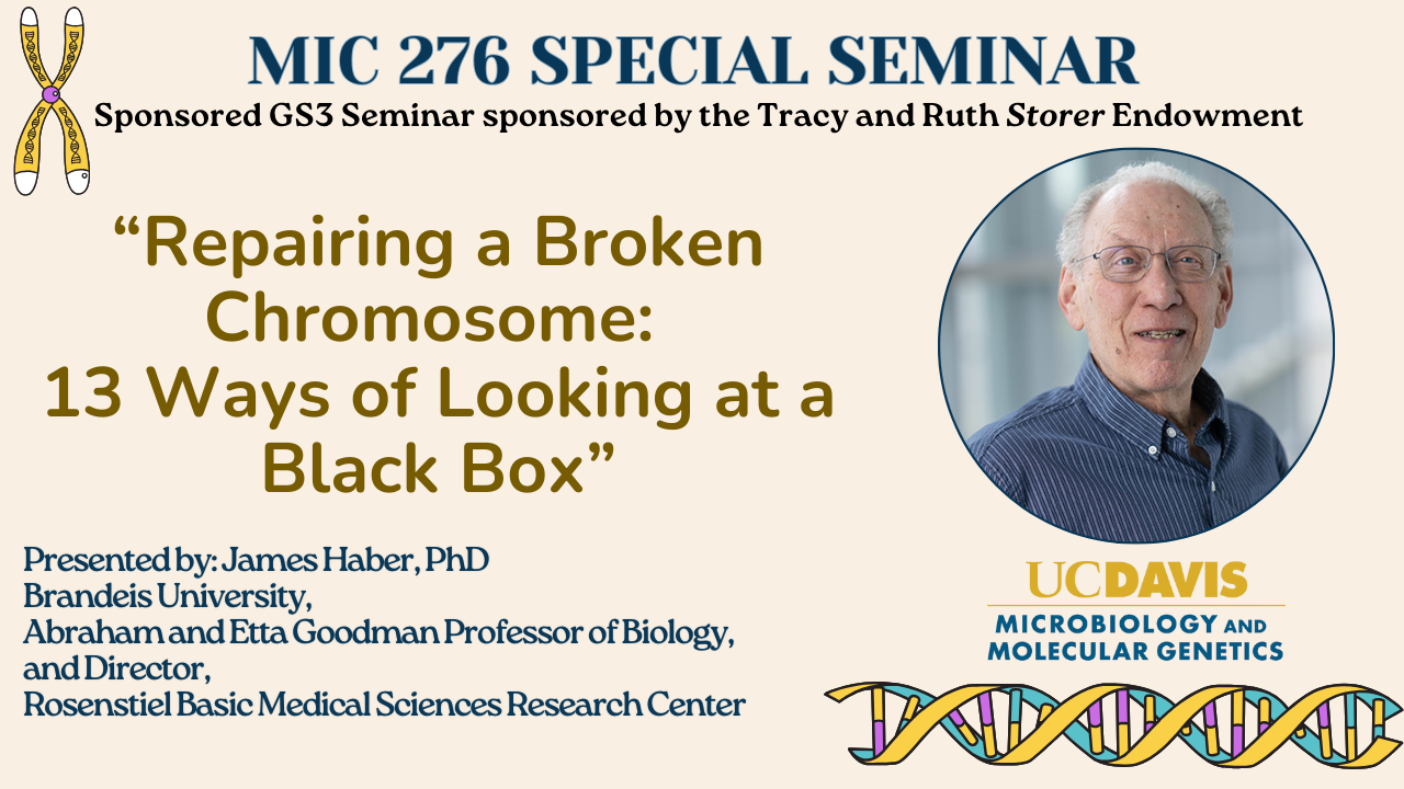Special Seminar MIC 276 James Haber flyer