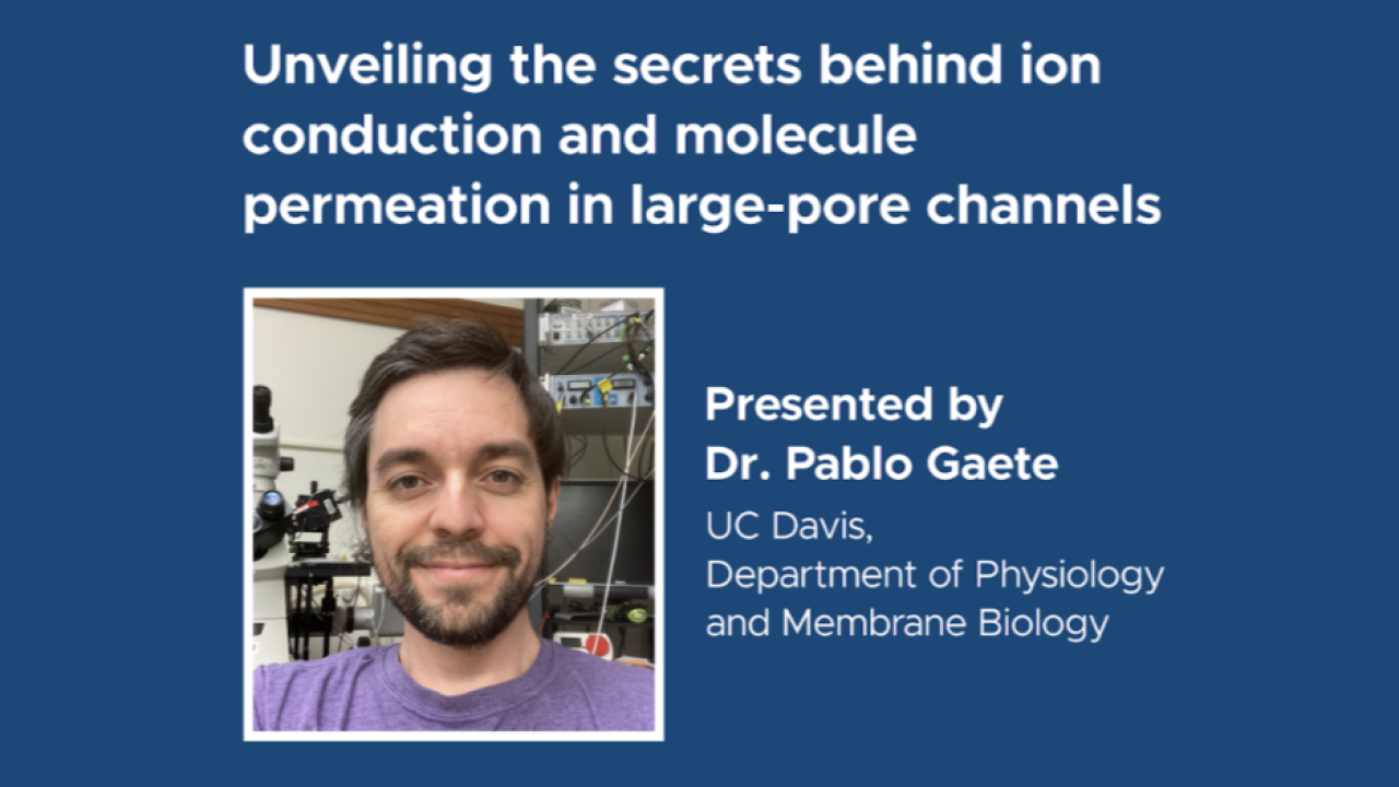 Blue graphic with seminar title and image of the presenter