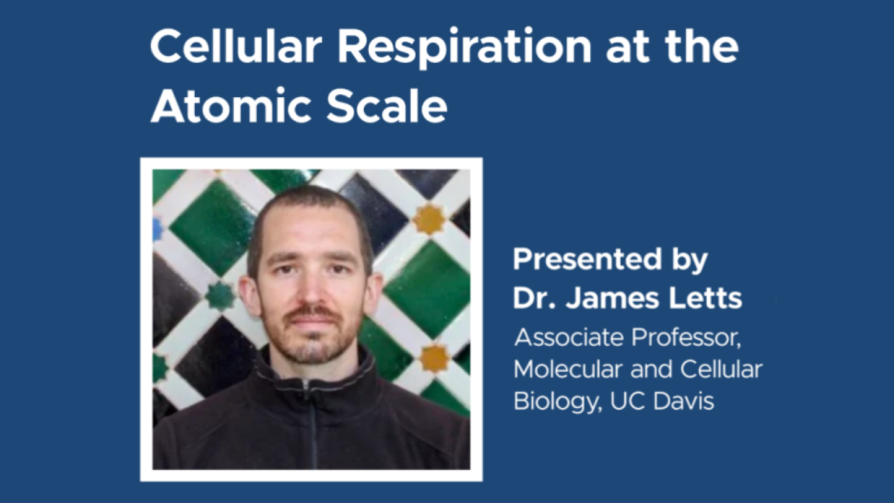 Blue graphic with seminar title and image of the presenter