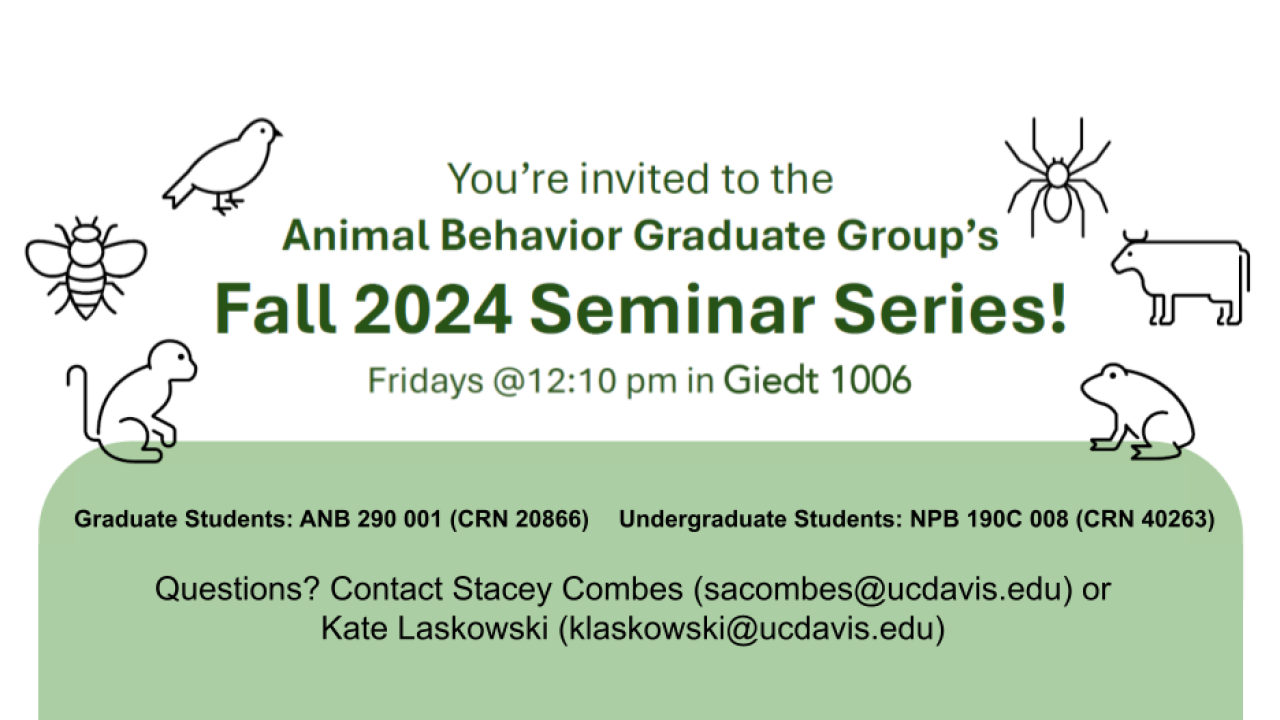 green graphic with seminar information, course numbers, and contact information