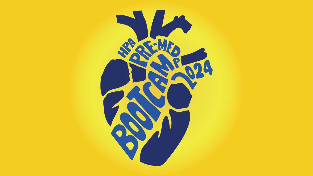 HPA Bootcamp logo on gold background