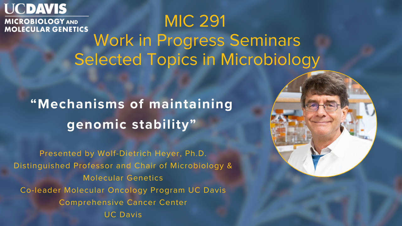MIC 291 SEMINAR FLYER- WOLF-DIETRICH HEYER