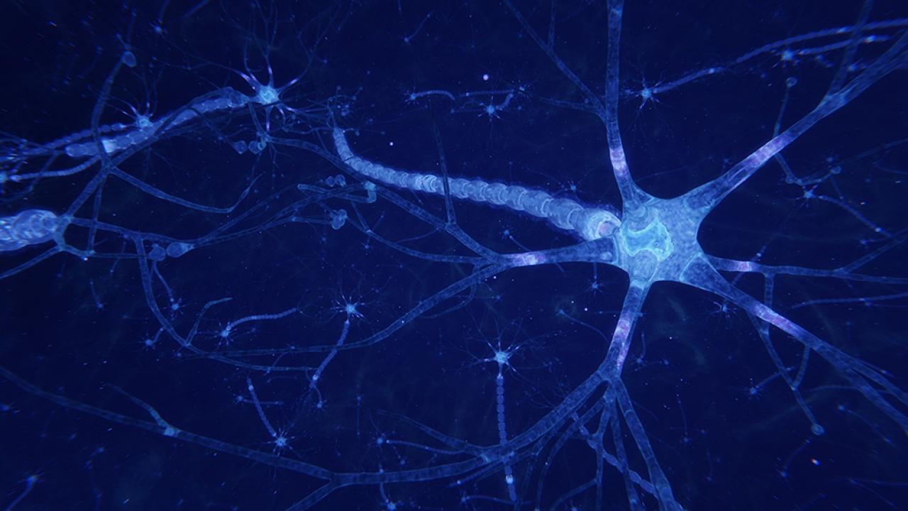 Neuron illustration