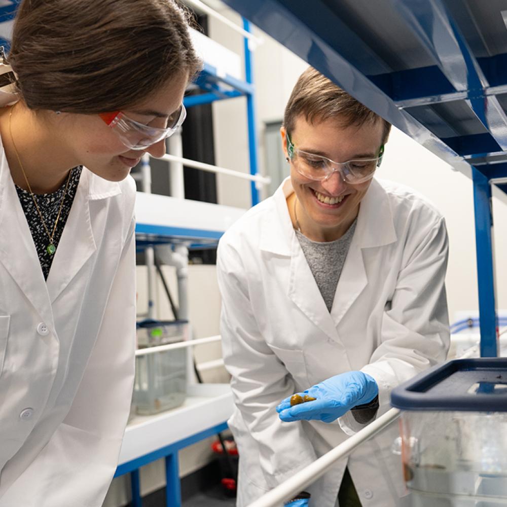 Alice Accorsi and student Annika Patel in lab coats, examining an apple snail in a research lab with tanks and blue shelving.