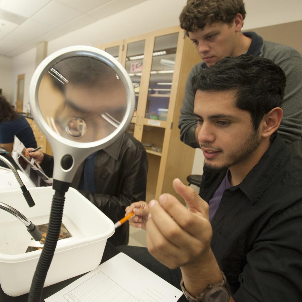 Students work collaboratively in a biology lab, using a magnifying lamp to examine specimens in a white container.