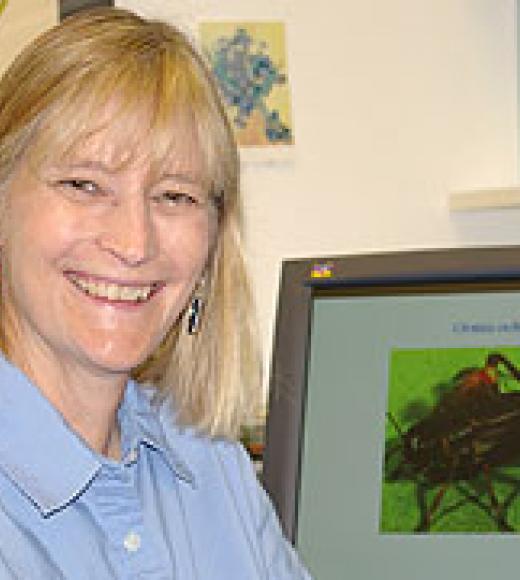 Ann Hedrick