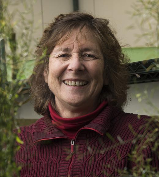 Judy Callis headshot