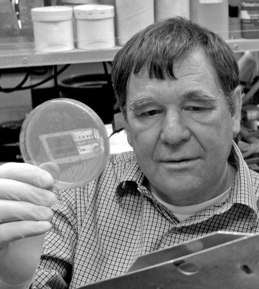 Paul Baumann