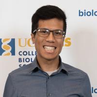 Andrew Tran headshot