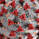 Coronavirus