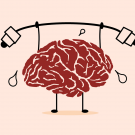 Brain