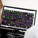 Computer screen with cell nibbling.