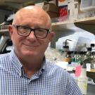 H. Michael Shepard ’73: honored for his work that led to the breast cancer drug Herceptin