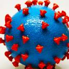 Coronavirus