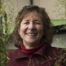 Judy Callis headshot