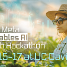 Woman in straw hat and sunglasses using tablet in sunny green field with digital tech overlays