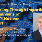 Blue graphic with seminar title, speaker name and title, and speaker photo