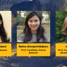 Three headshots of the CBS grad slam finalists against watercolor blue and gold background