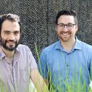 Two researchers in greenhouse. 