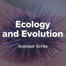 Close-up of a purple sea urchin held in a person’s hands, with overlaid text reading ‘Ecology and Evolution Seminar Series.’
