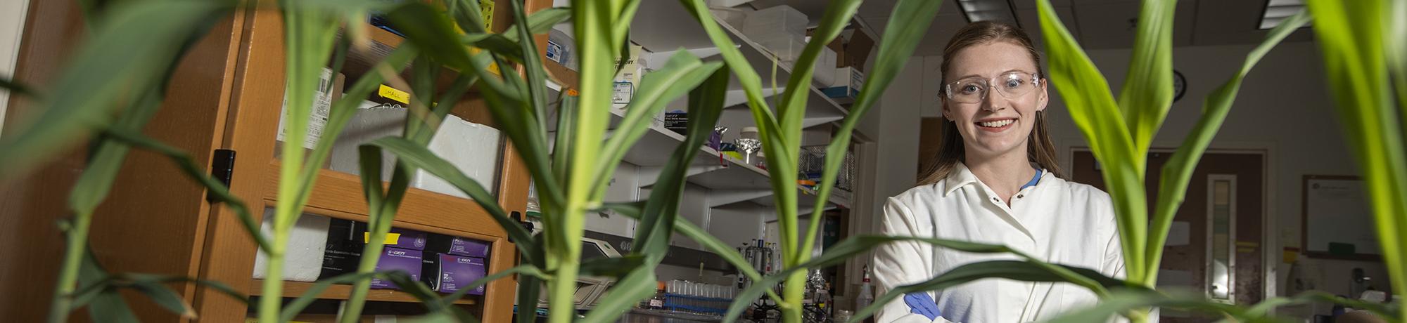 Researcher with plants