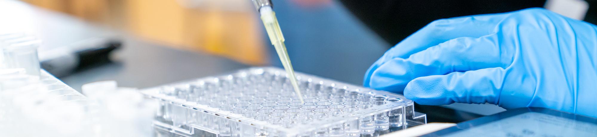 Gloved hand and text tubes with pipette